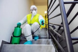 Asbestos Surveys for Real Estate: Ensuring Safe and Compliant Properties